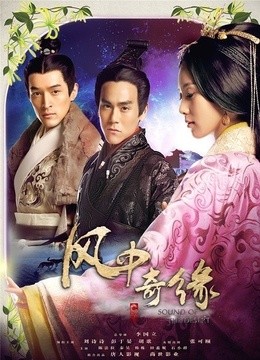 大宋惊世传奇(更新至36集)-全集在线观看-电视
