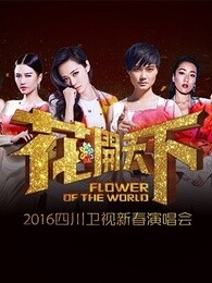 四川卫视2016跨年演唱会