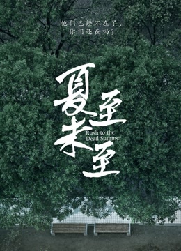 夏至未至图片