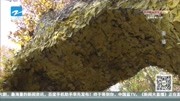 南山路-热门标签-高清视频在线观看-爱奇艺图片
