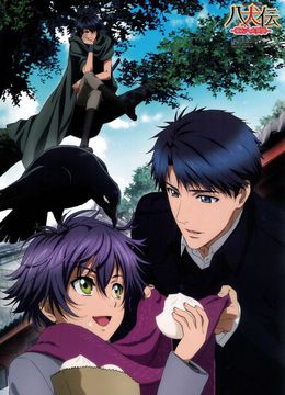 八犬传(更新至1集)-全集在线观看-动漫-爱奇艺全网影视