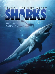 鲨鱼夹的使用视频 a_100038526_m_601_195_260.jpg